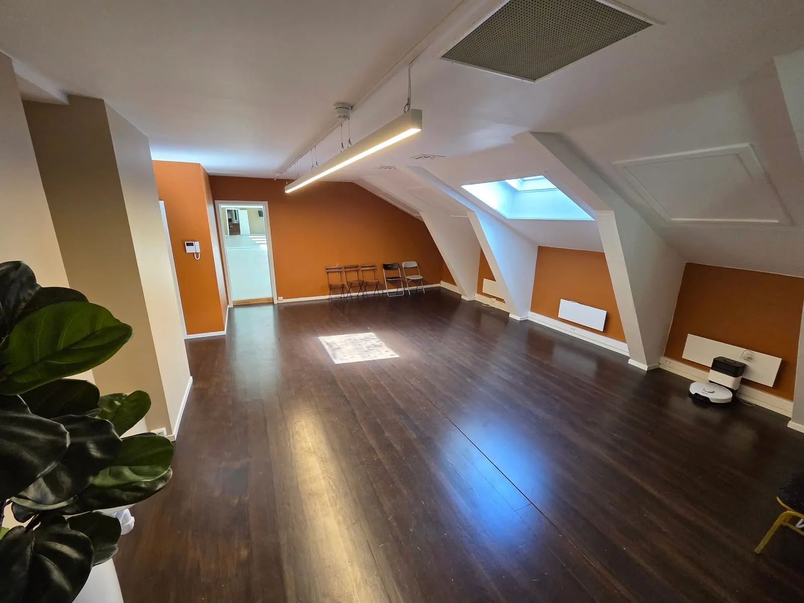 Studio Havana – bilde 4